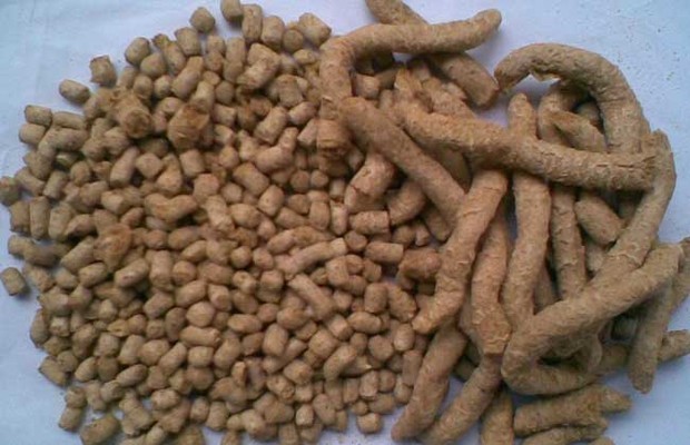 科学配置育肥猪饲料配方的关键要素与实践指导