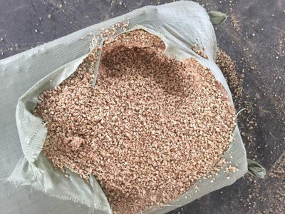 玉米秸秆变废为宝 高效饲料化利用技术与前景