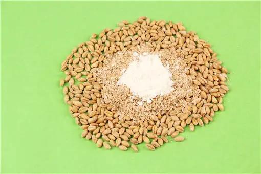 喂对这5种饲料，养牛长得快